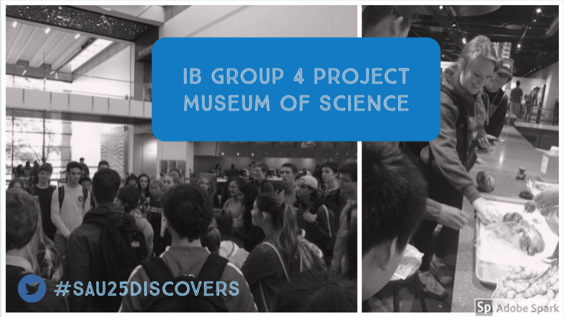 Screen Shot 2018-10-12 at 4.42.30 PM